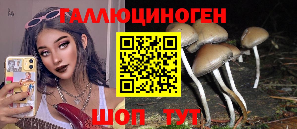 Псилоцибиновые грибы Cubensis  Галлюциногенные грибы прущие грибы  Лесной  Вход с VPN 